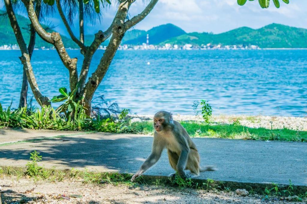 La Mer Hotel Nha Trang Eksteriør bilde